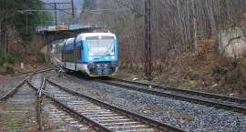 zdjęcie nr 9