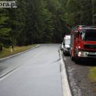 Fotka nr 5 z 12