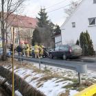 Fotka nr 2 z 4