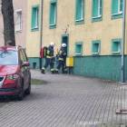 Fotka nr 2 z 3