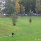 Fotka nr 2 z 4