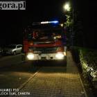 Fotka nr 2 z 11