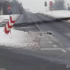 Fotka nr 1 z 3