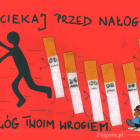 Fotka nr 2 z 11
