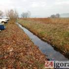 Fotka nr 2 z 6
