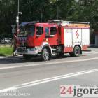 Fotka nr 5 z 14