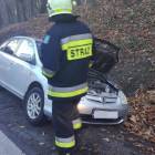 Fotka nr 1 z 4