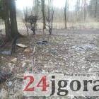 Fotka nr 2 z 13
