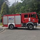 Fotka nr 5 z 16