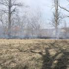 Fotka nr 1 z 4