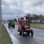 zdjęcie nr 7