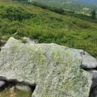 fot. Karkonosze GO