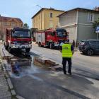 fot. Straż Miejska Jelenia Góra