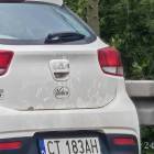 zdjęcie nr 28