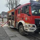 Fotka nr 3 z 8