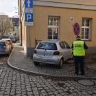 fot. Straż Miejska Jelenia Góra