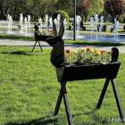 zdjęcie nr 6