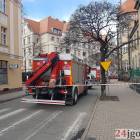 Fotka nr 2 z 8
