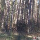 zdjęcie nr 39