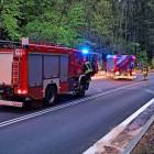 Fotka nr 4 z 13