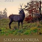 zdjęcie nr 31
