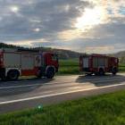Fotka nr 1 z 17