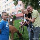 Fotka nr 4 z 21