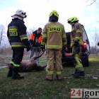 Fotka nr 2 z 13