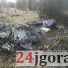 Fotka nr 5 z 13