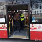 zdjęcie nr 8