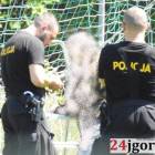 Fotka nr 4 z 6