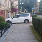 fot. Straż Miejska Jelenia Góra