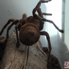 zdjęcie nr 13