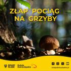 Fotka nr 0 z 1