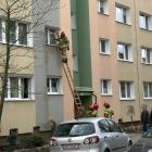 Fotka nr 2 z 10
