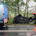 zdjęcie nr 7
