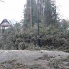 zdjęcie nr 29
