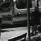 fot. Straż Miejska Jelenia Góra