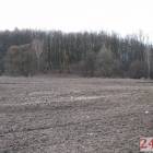 zdjęcie nr 29