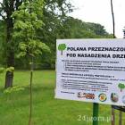 Fotka nr 5 z 6