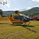 Fotka nr 4 z 7