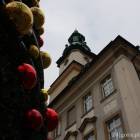 zdjęcie nr 8