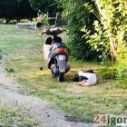 Fotka nr 2 z 7