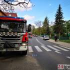 Fotka nr 1 z 15