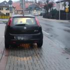 fot. Straż Miejska Jelenia Góra