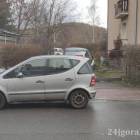 Fotka nr 3 z 4