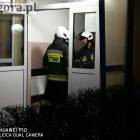 zdjęcie nr 10