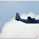 Fotka nr 5 z 6