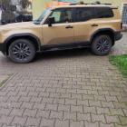 fot. Straż Miejska Jelenia Góra