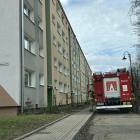 zdjęcie nr 10
